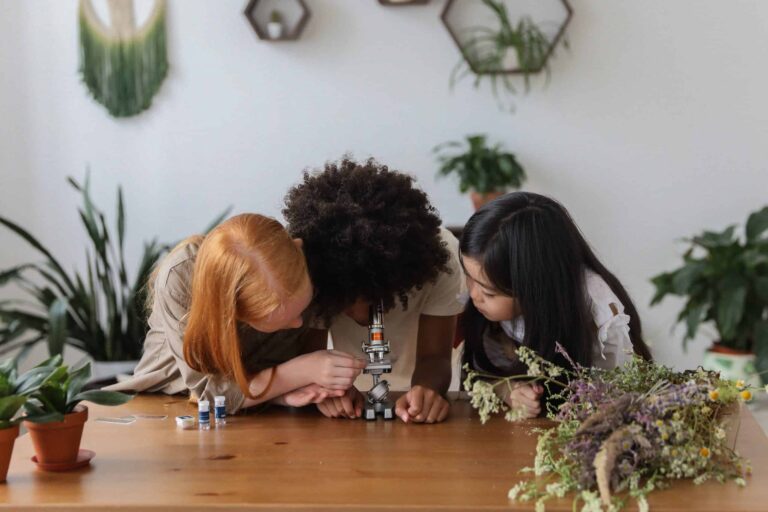Fun experiments to do at home